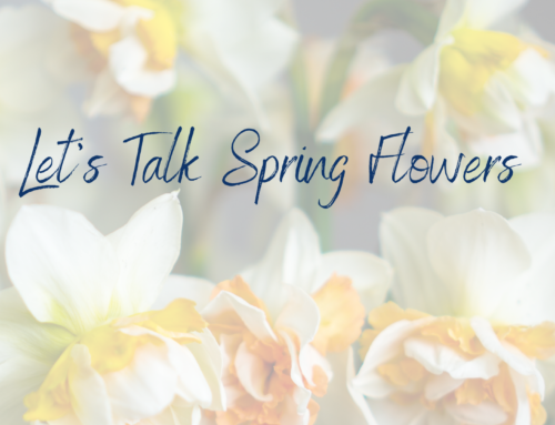Let’s Talk Spring Flowers