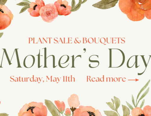Mother’s Day 2024: Bouquets & a Plant Sale