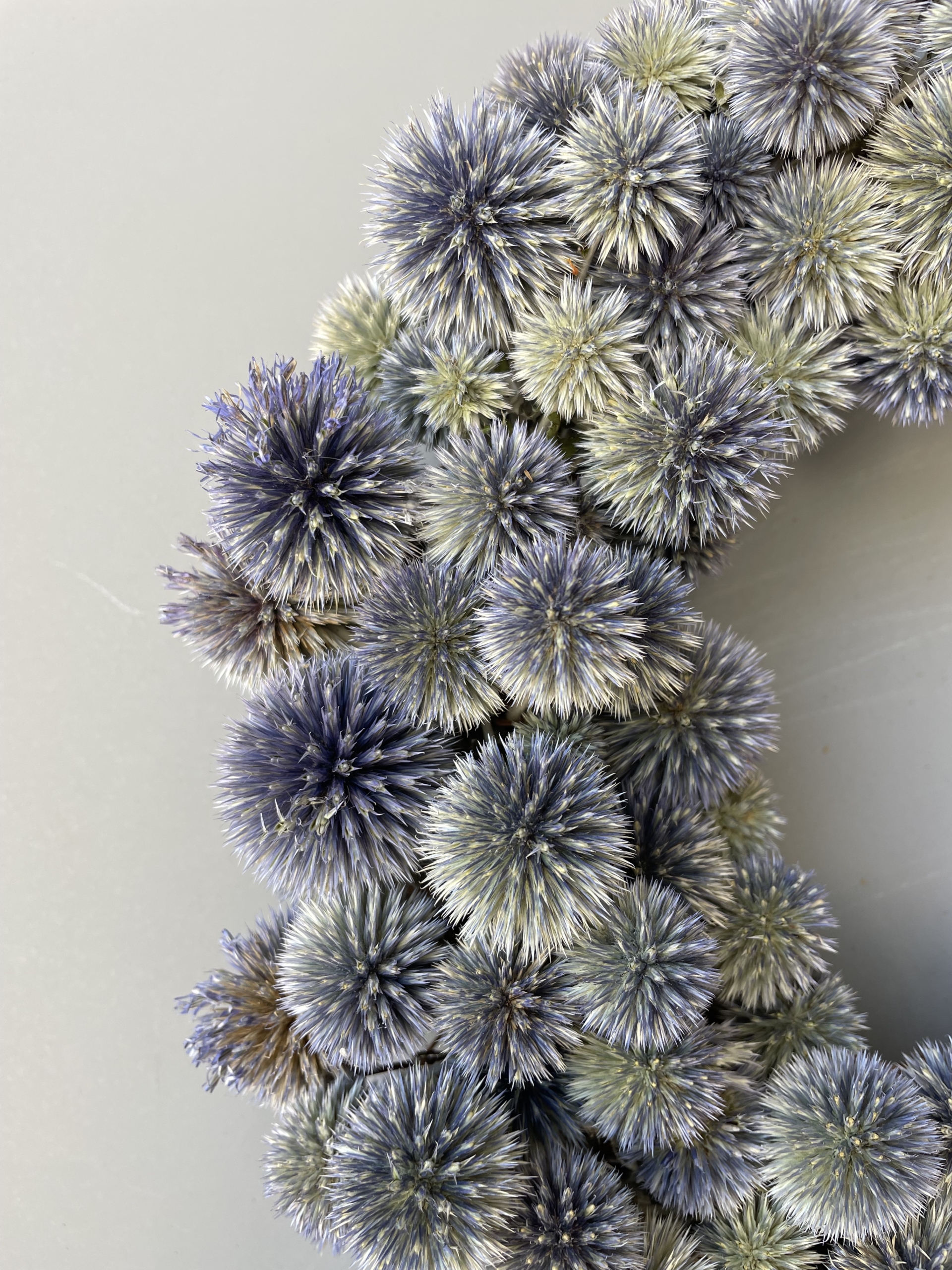 dried flower wreath, dried flowers, wreath sale, iron meadows flower farm, echinops, globe thistle