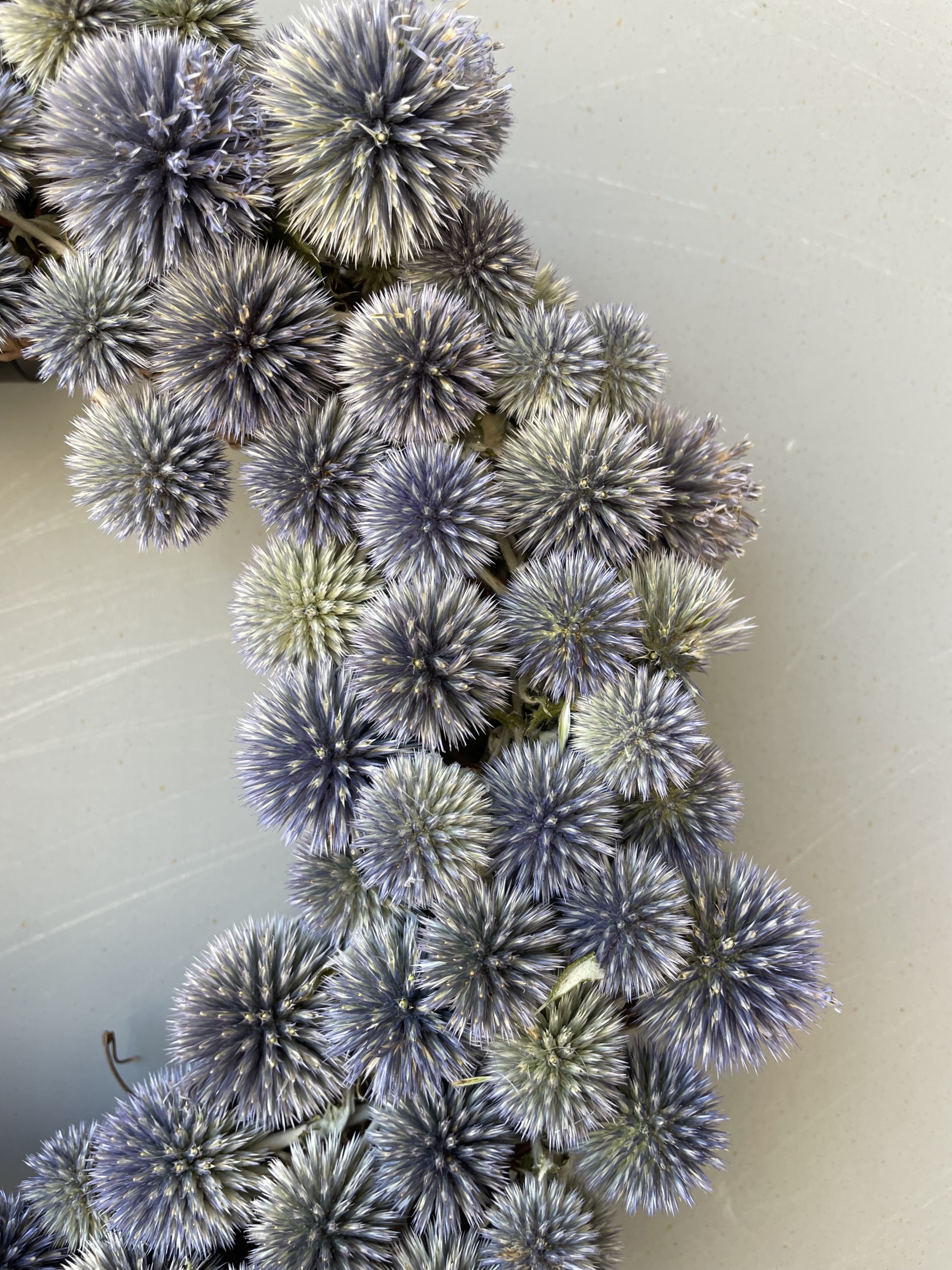 dried flower wreath, dried flowers, wreath sale, iron meadows flower farm, echinops, globe thistle